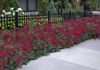1555 Arboretum Dr SE photo